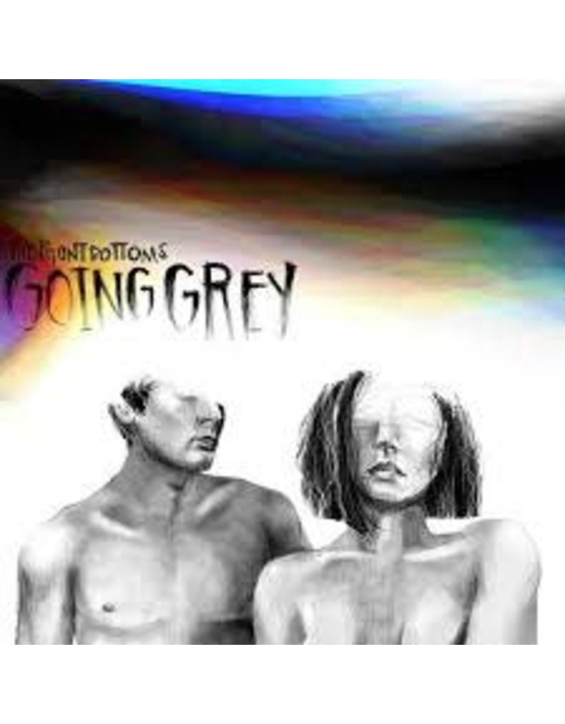 (LP) The Front Bottoms - Going Grey