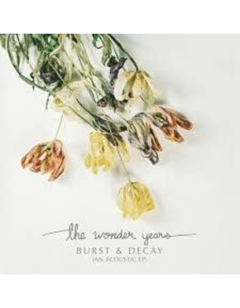 (LP) Wonder Years - Burst & Decay