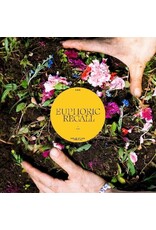 (LP) Braids - Euphoric Recall