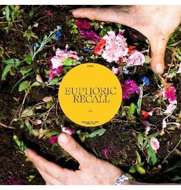 (LP) Braids - Euphoric Recall