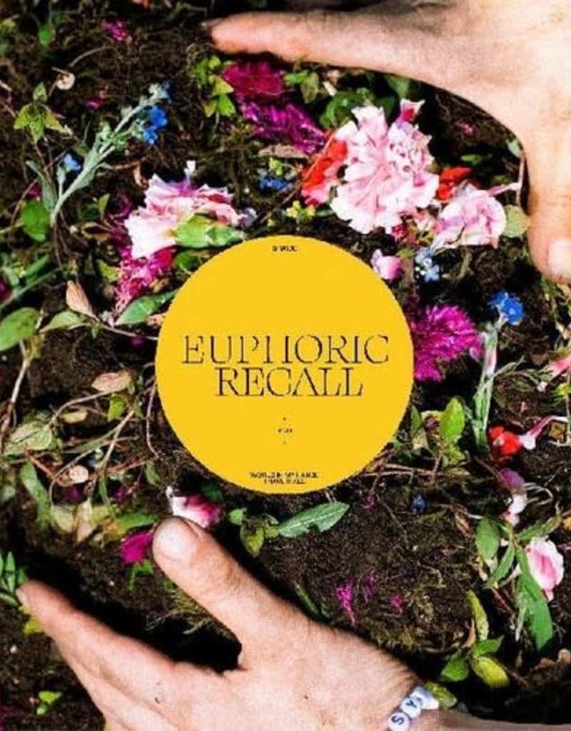 (LP) Braids - Euphoric Recall