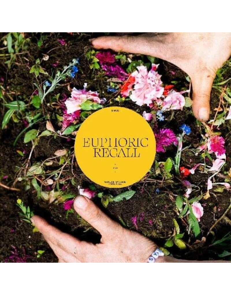 (LP) Braids - Euphoric Recall