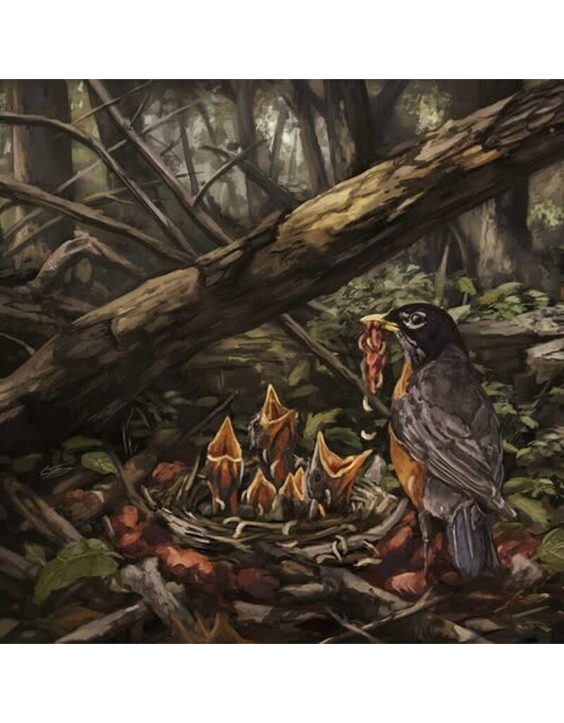 Rise Records (LP) The Acacia Strain - Step Into The Light