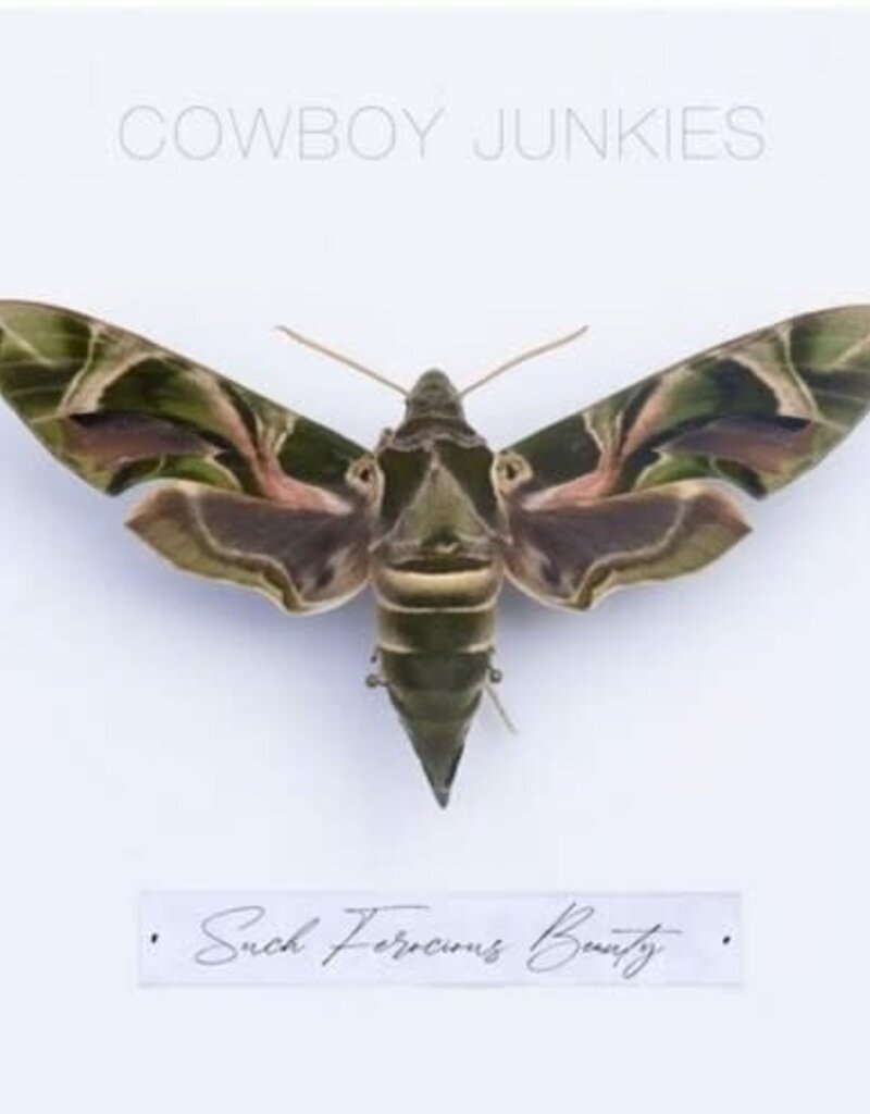 Cooking Vinyl (LP) Cowboy Junkies - Such Ferocious Beauty