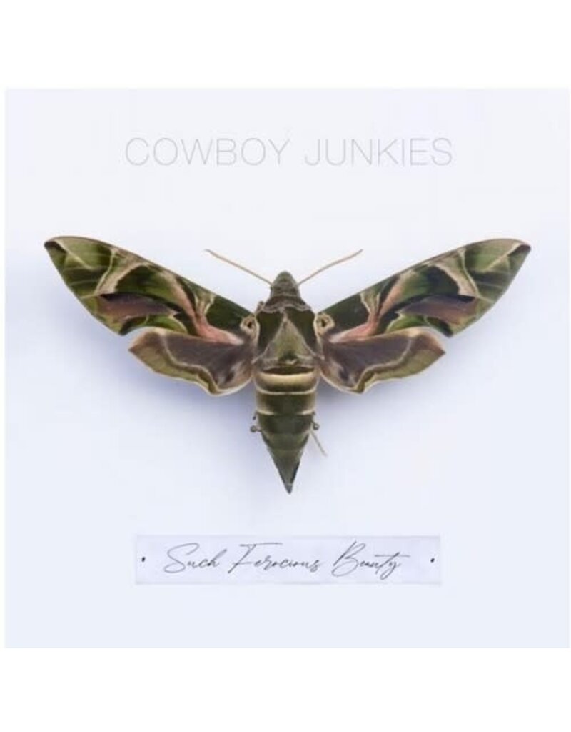 Cooking Vinyl (LP) Cowboy Junkies - Such Ferocious Beauty
