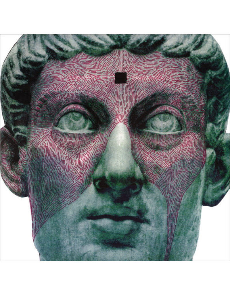 Hardly Art (LP) Protomartyr - The Agent Intellect