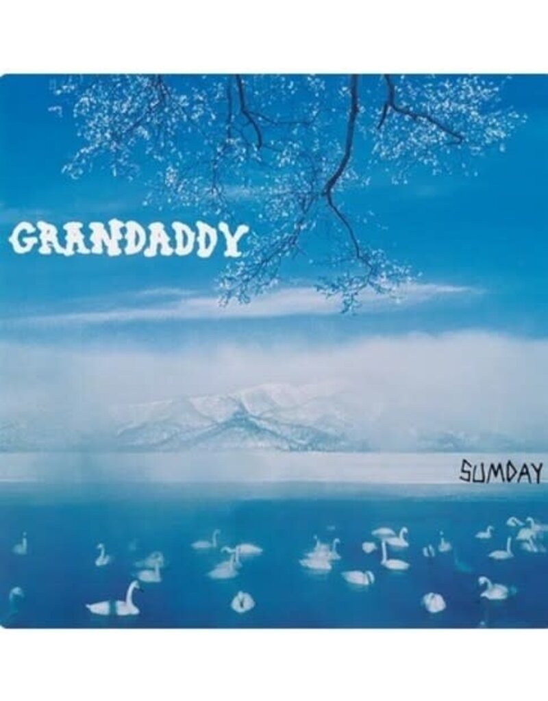 Dangerbird Records (LP) Grandaddy - Sumday: 20th Anniversary (2LP White Vinyl)
