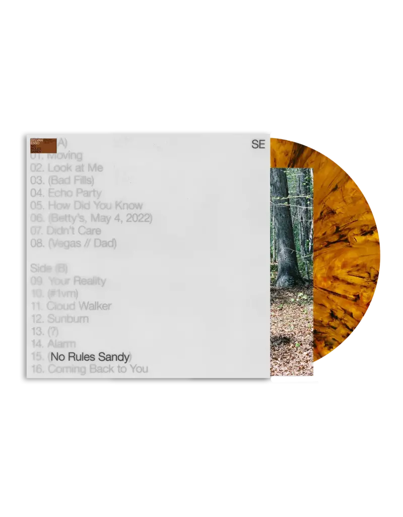 Loma Vista (LP) Sylvan Esso - No Rules Sandy (Indie: Tiger's Eye Vinyl)