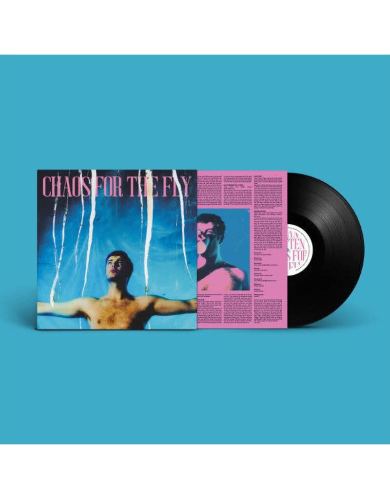 (LP) Grian Chatten (of Fontaines DC) - Chaos For The Fly
