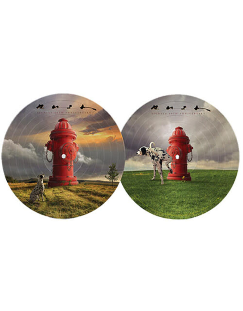 (LP) Rush - Signals (picture disc) 40th Ann.