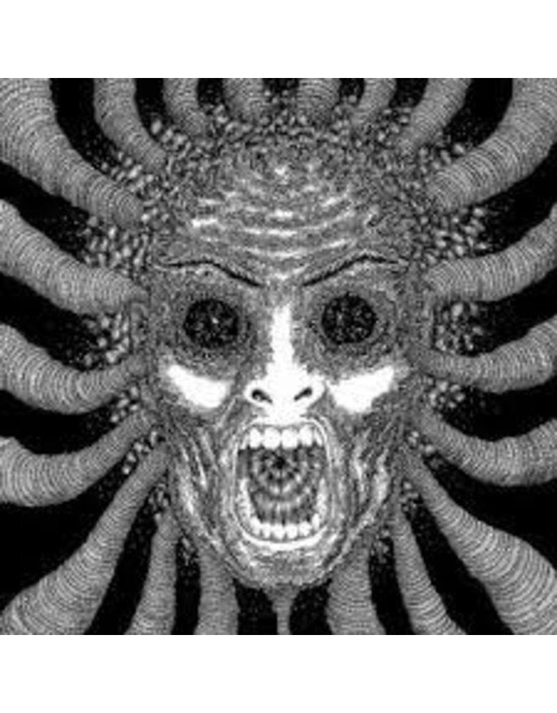 (LP) Ty Segall - Slaughterhouse (2x12" +Bonus Track)