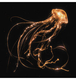 (CD) Royal Blood - Back To The Water Below