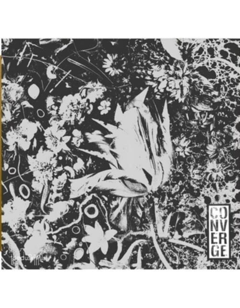 Death Wish (LP) Converge - Dusk In Us Deluxe