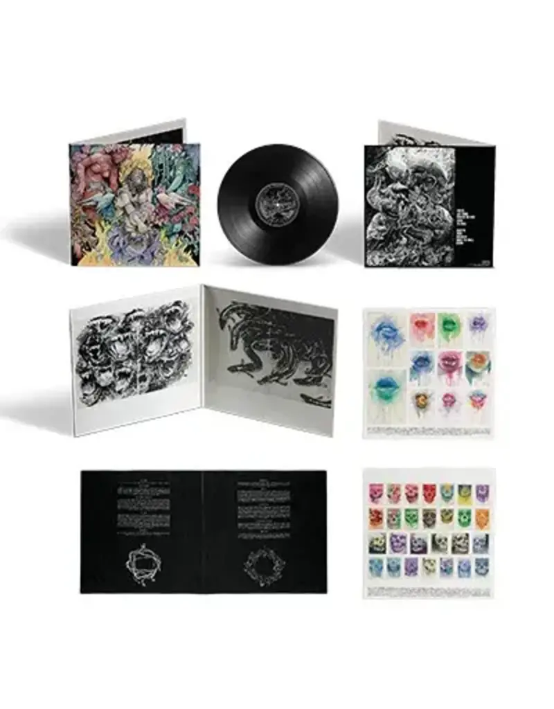 (LP) Baroness - Stone**********DEEP DISCOUNT IN EFFECT!**********