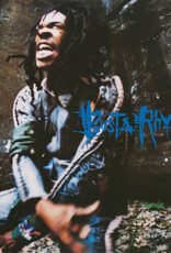 Elektra (LP) Busta Rhymes - When Disaster Strikes... (2LP Silver Vinyl) 25th Anniversary