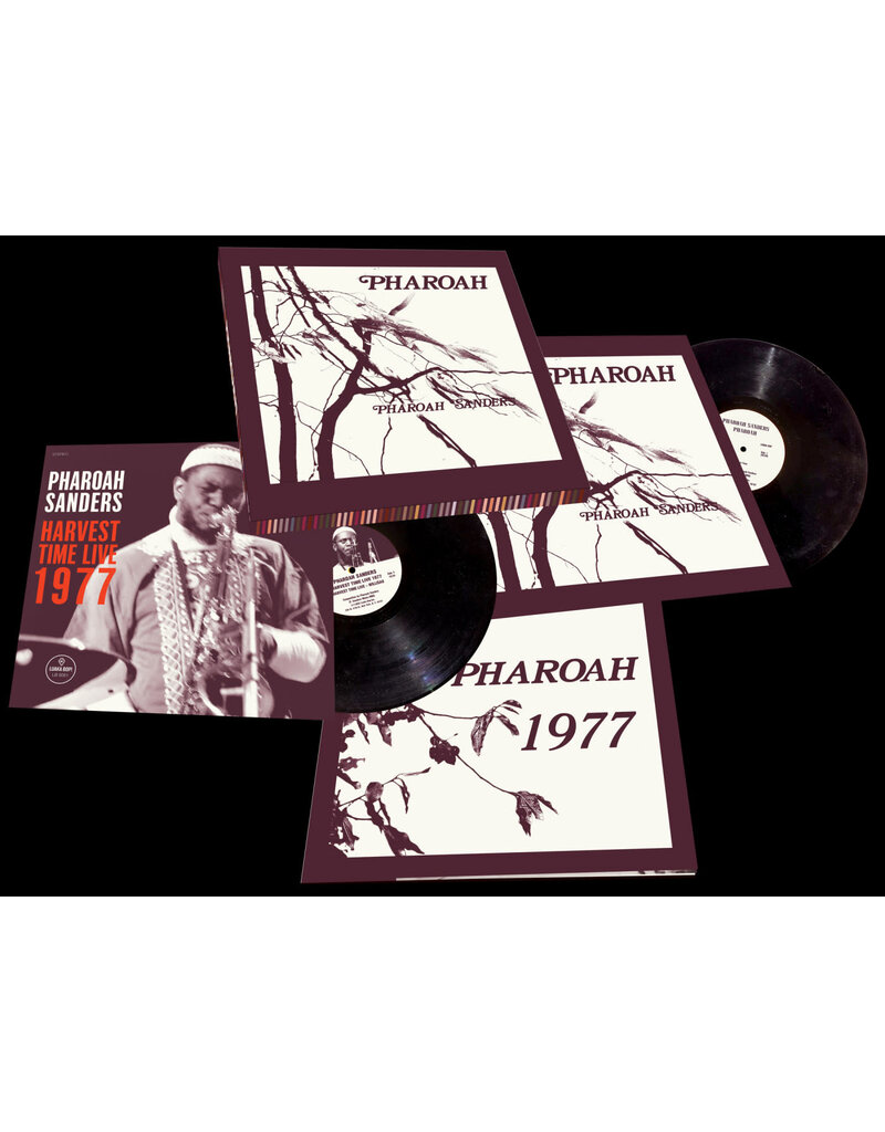 Luaka Bop (LP) Pharoah Sanders - Pharoah (2LP Limited Edition)