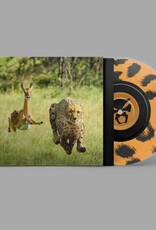 Brainfeeder (LP) Thundercat & Tame Impala - No More Lies (7" Single Sided Cheetah Screenprint)