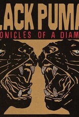 (LP) Black Pumas - Chronicles Of A Diamond (Standard Edition on Clear Vinyl)