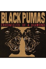 (LP) Black Pumas - Chronicles Of A Diamond (Standard Edition on Clear Vinyl)
