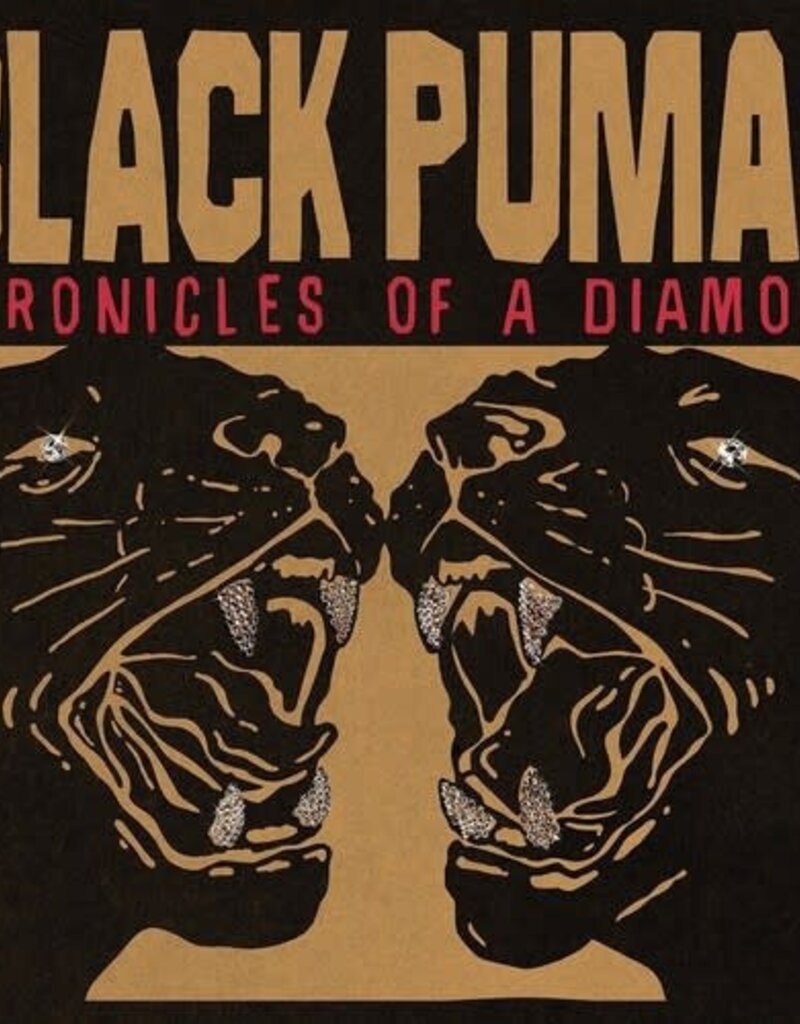(LP) Black Pumas - Chronicles Of A Diamond (Standard Edition on Clear Vinyl)