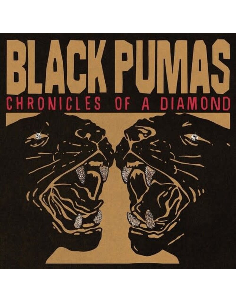 (LP) Black Pumas - Chronicles Of A Diamond (Standard Edition on Clear Vinyl)