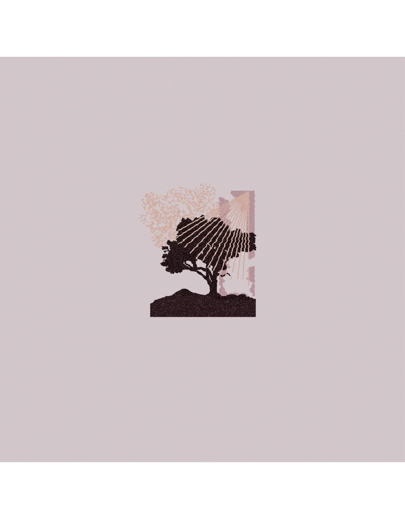 Next Door Records (CD) Land of Talk - Performances