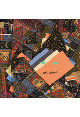 (LP) Animal Collective - Isn't It Now? (2LP)