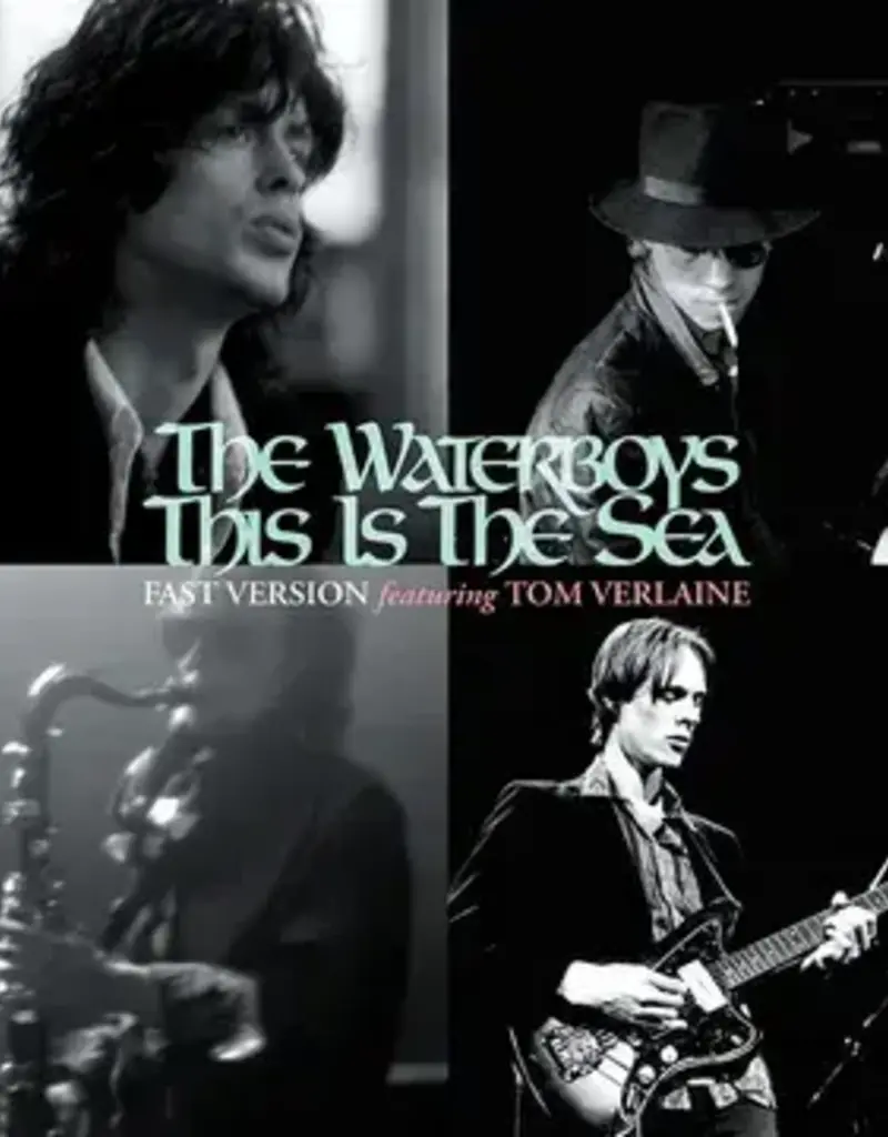 Chrysalis (LP) Waterboys - This Is The Sea (fast version)/The Passenger (10inch) BF23