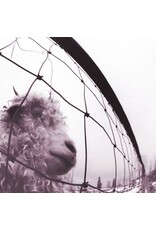 Legacy (LP) Pearl Jam - VS. : 30th Anniversary Edition (2LP/45rpm)