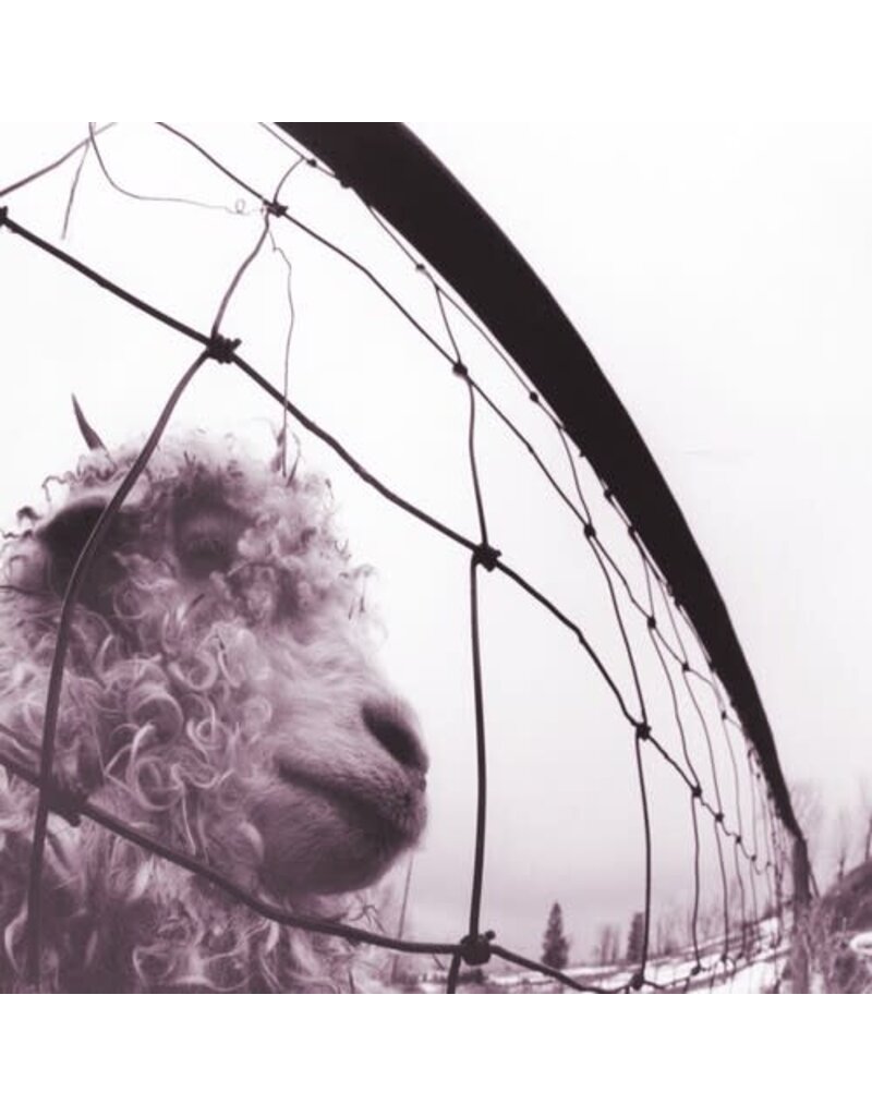 Legacy (LP) Pearl Jam - VS. : 30th Anniversary Edition (2LP/45rpm)