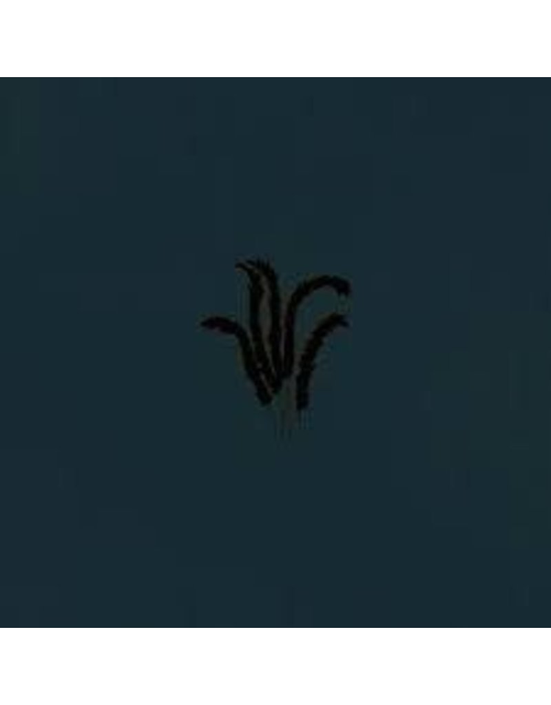 (LP) Whimm - A Stare Ajar