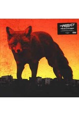 (LP) Prodigy - Day Is My Enemy (DIS)