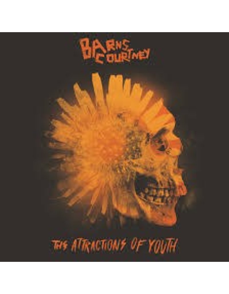 (LP) Barns Courtney - Attractions Of Youth (Picture Disc)