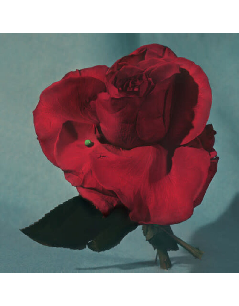(LP) METZ - Up On Gravity Hill (Standard Half Red/Half Black Vinyl)