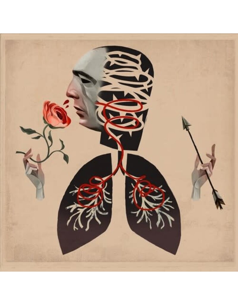 Equal Vision (LP) Hot Water Music - Vows (Indie: Clear Vinyl Edition)