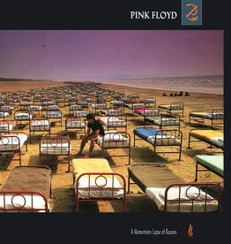 (Used LP) Pink Floyd – A Momentary Lapse Of Reason