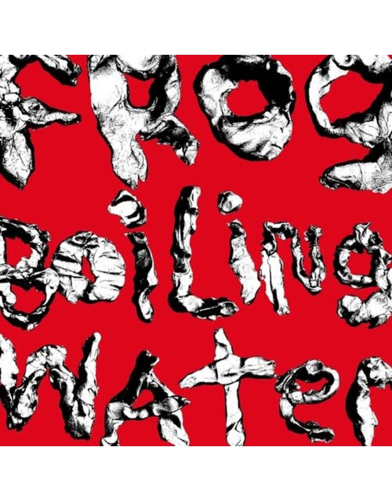 Fantasy (LP) DIIV - Frog in Boiling Water