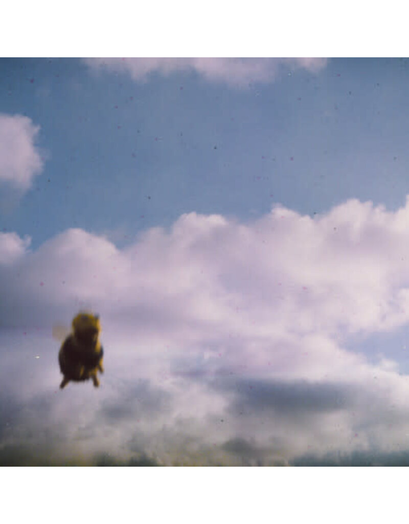 Spinning Top (LP) Pond - Stung! (Indie exclusive: 2LP Splatter Bee Coloured Vinyl)