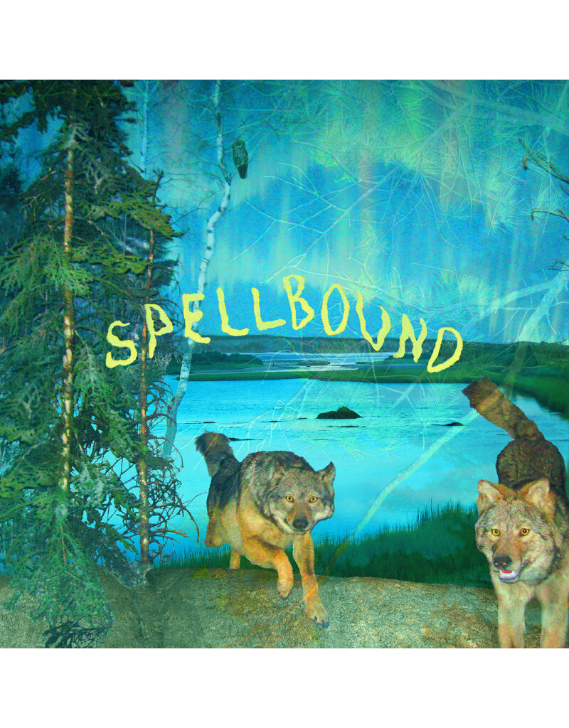 Topshelf Records (LP) Boyscott - Spellbound (Green/Yellow Vinyl)