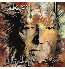 Legacy (LP) Willie Nelson - Last Leaf On The Tree (Amber Vinyl) [2LP]