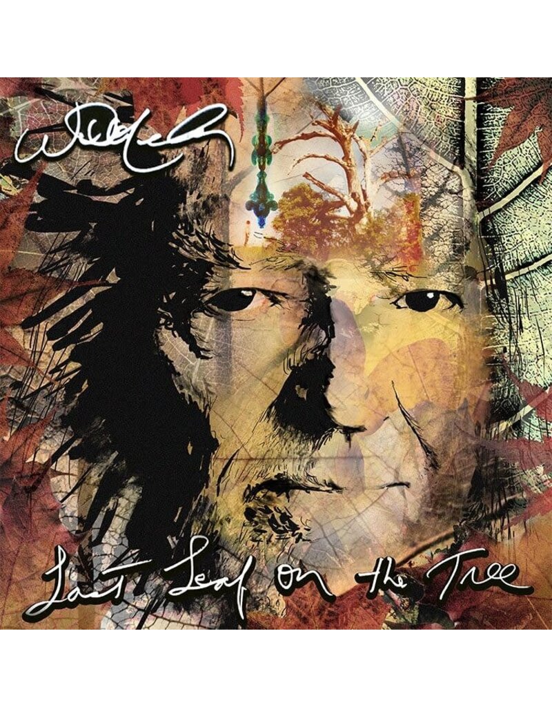 Legacy (LP) Willie Nelson - Last Leaf On The Tree (Amber Vinyl) [2LP]