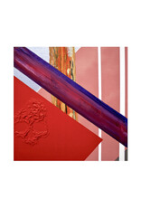 (LP) Lupe Fiasco - Tetsuo & Youth (Coloured Vinyl)
