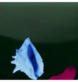 (LP) New Order - Touched By The Hand Of God (12")