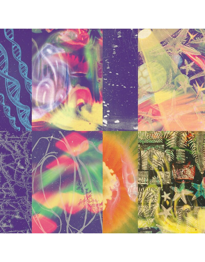 (LP) Nap Eyes - The Neon Gate