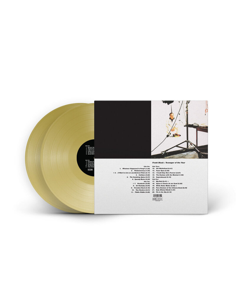 (LP) Frank Black - Teenager Of the Year (30th Anniversary Gold Vinyl) (2LP)