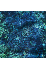 Psychic Hotline (LP) Ichiko Aoba - Luminescent Creatures