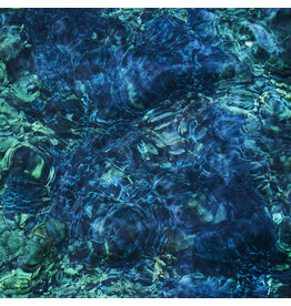 Psychic Hotline (LP) Ichiko Aoba - Luminescent Creatures