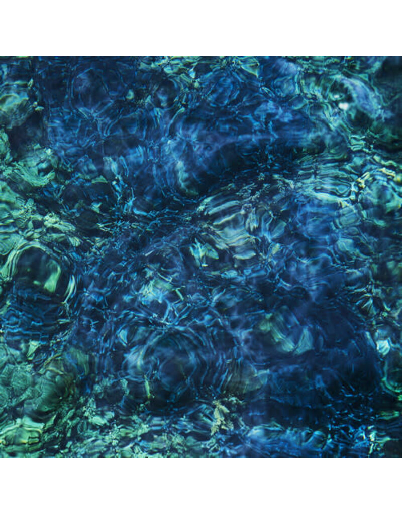 Psychic Hotline (LP) Ichiko Aoba - Luminescent Creatures