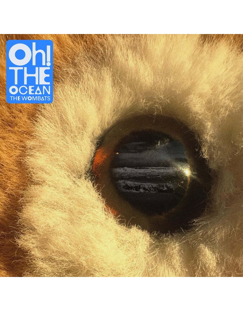 The Orchard (LP) The Wombats  - Oh! The Ocean (Transparent Blue Vinyl)