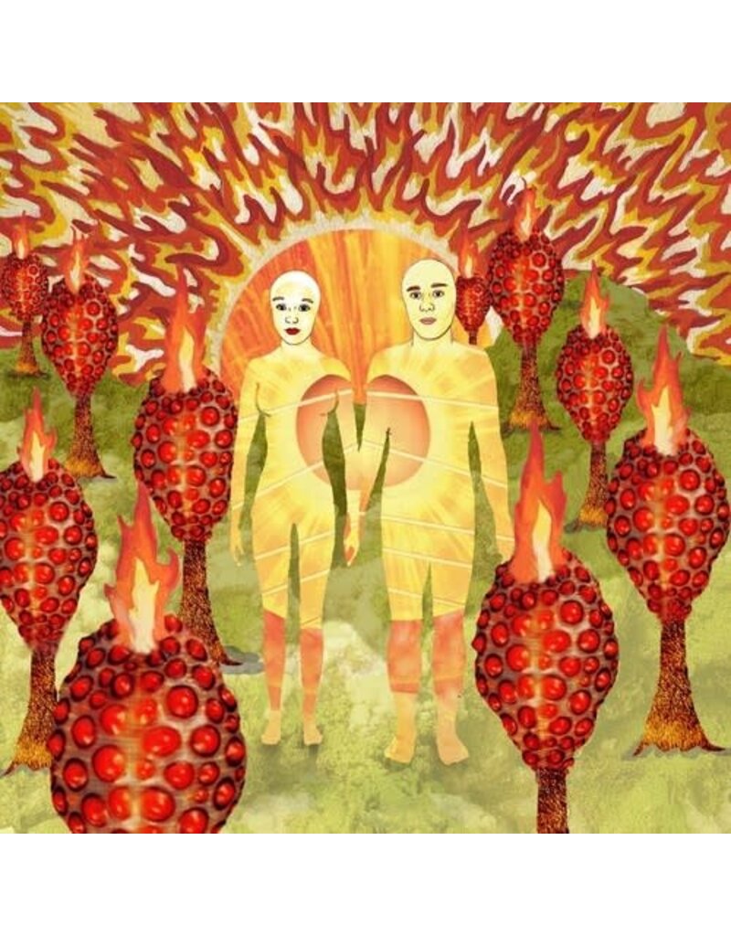 (LP) Of Montreal - The Sunlandic Twins (20th Anniversary Edition) (2LP Red Vinyl)